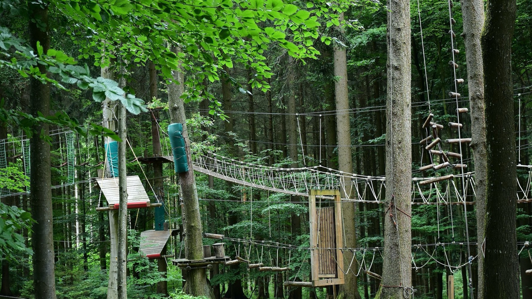 Park linowy – aktywny wypoczynek